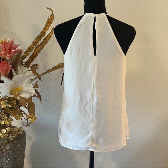 Express NWT Sleeveless Ivory Blouse with Gold Zipper - Picture 4 of 12